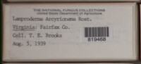 Image Associated With the Occurence
